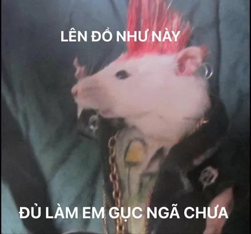 Ảnh troll trạng thái sập nguồn hợp người đang stress nặng