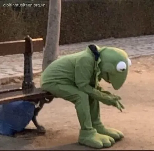 Meme ếch xanh áp lực công việc cho người đang kiệt quệ giữa tuần