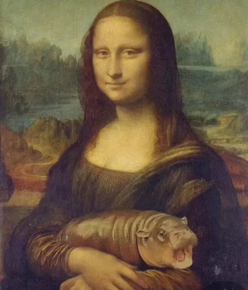 Meme hà mã – biểu cảm “to xác mà đáng yêu” không ai cưỡng nổi