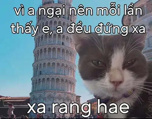 Meme gửi người yêu dùng khi muốn thể hiện tình cảm mà không nói thẳng