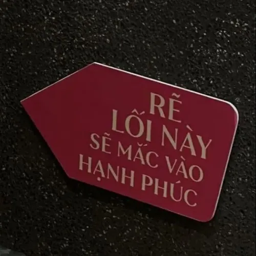 Ảnh chế vui vẻ thể hiện sự đủ đầy trong khoảnh khắc nhẹ nhõm