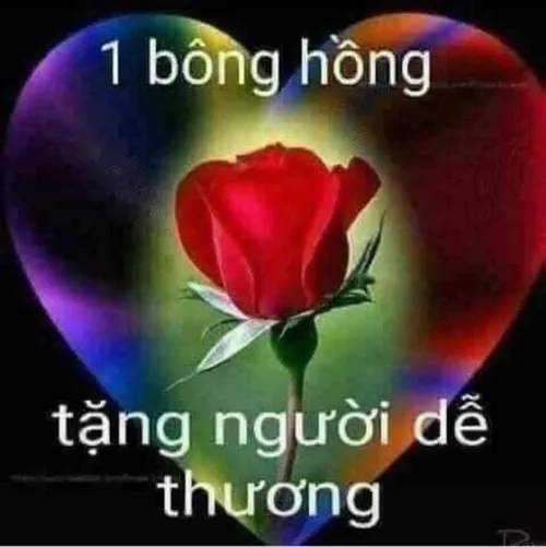 Meme chế niềm vui diễn tả nụ cười sáng trong ngày đẹp trời