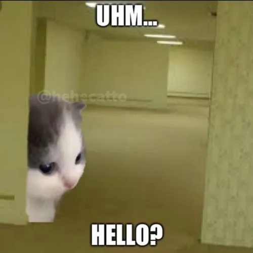 Ảnh hài hello phối hơi thở mở câu giúp bầu trò chuyện mềm lại