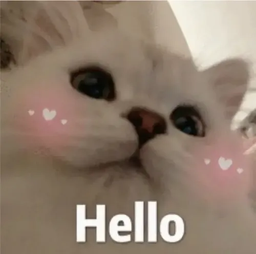 Meme hài lời chào sáng tạo sắc thái thân giúp bắt chuyện nhanh