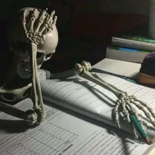 Ảnh vui nghiền cứu giáo trình trong phòng trọ bừa bộn