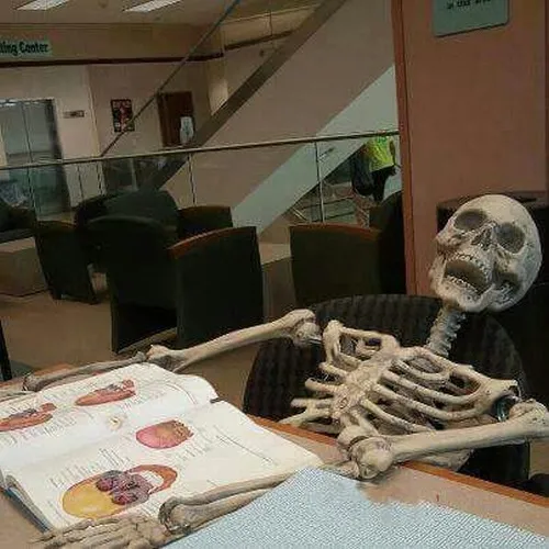 Hình meme hài tiếp thu giữa bài tập và ghi chú