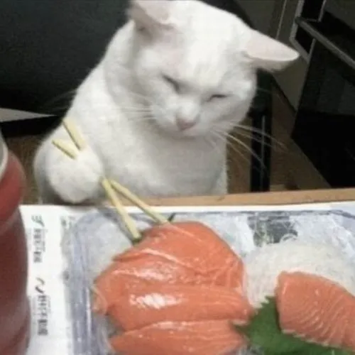 Ảnh vui mèo liếm môi mô tả cảm giác mùi đồ ăn vừa mở ra