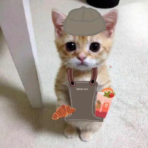 Ảnh troll mèo xơi mô tả run run ria khi thấy cá nướng bốc khói