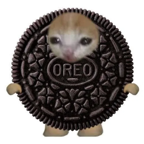 Meme mèo ăn mô phỏng tiếng nhai vang trong im lặng đáng yêu