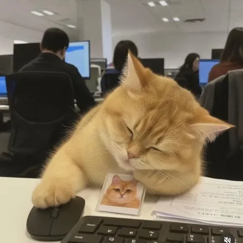 Ảnh chế mèo mệt mỏi muốn trốn khỏi mọi cuộc họp.