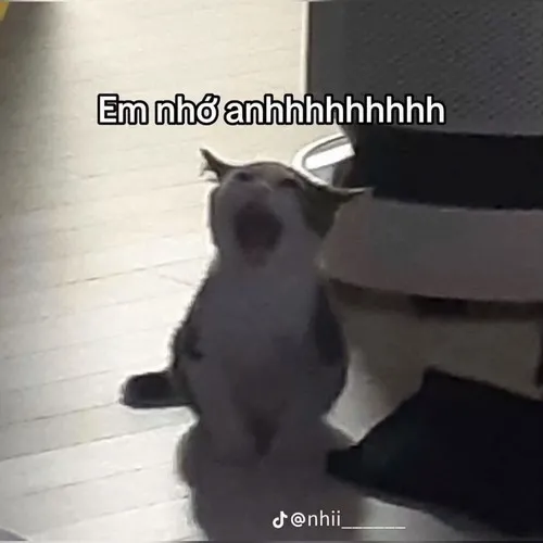 Anh ơi em nhớ anhhhh