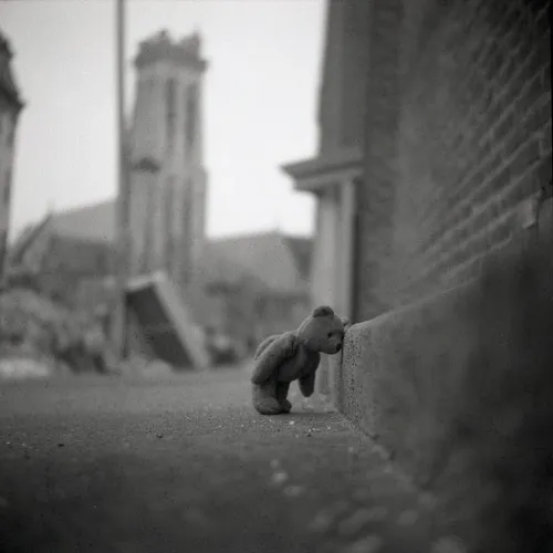 Ảnh vui tách biệt đầy bâng quơ trước tiếng gió lùa nhẹ