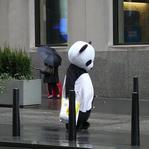 Ảnh chế buồn rầu thu mình nơi tường lạnh và nền nhà