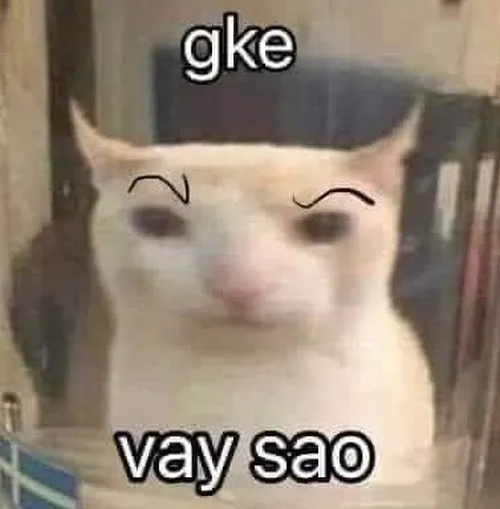 Meme nhìn xa xăm cho cảm giác trôi cảm đầy mơ hồ