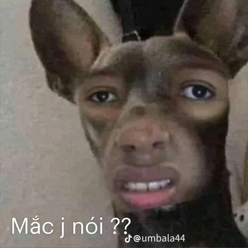 Ảnh vui liếc nửa mặt giúp câu chuyện thêm chất châm chích