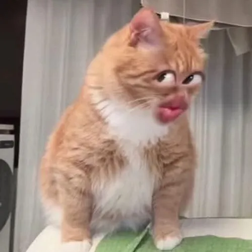 Khoảnh khắc nhìn khinh bỉ khiến không khí đổi hướng rõ rệt