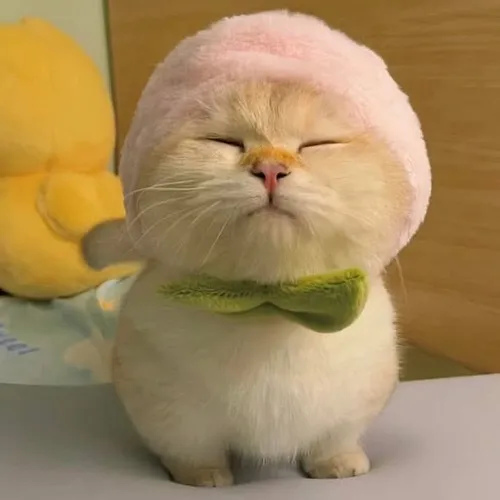 Meme chế biểu cảm nghi ngại kết hợp sống mũi hơi nhíu nhẹ