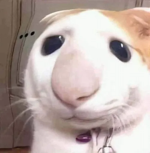 Meme chế cái ngó tinh tế phù hợp lúc nghi ngờ ai đó