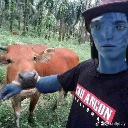 Ảnh vui nhân vật Jake giả vờ bình tĩnh giữa rừng Pandora