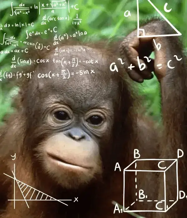 Meme khỉ thắc mắc giúp diễn tả cảm giác não đang load siêu chân thật