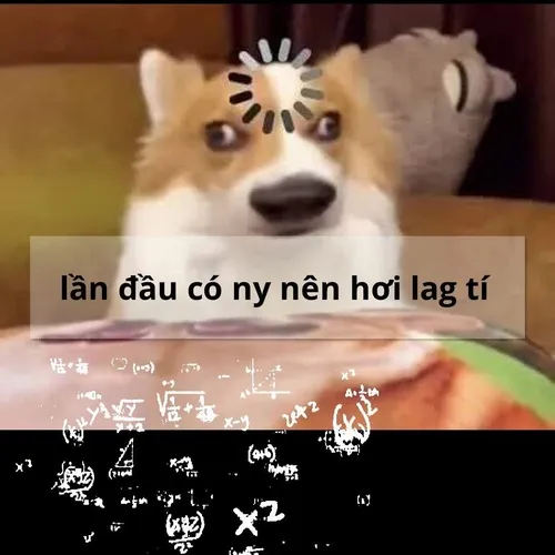 Meme Shiba hài miệng chữ o thể hiện nút chờ não trong vài giây ngập ngừng