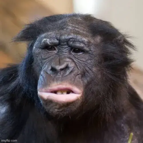 Ảnh vui nét mặt ngừng hình gợi độ trễ phản ứng tự nhiên nhất