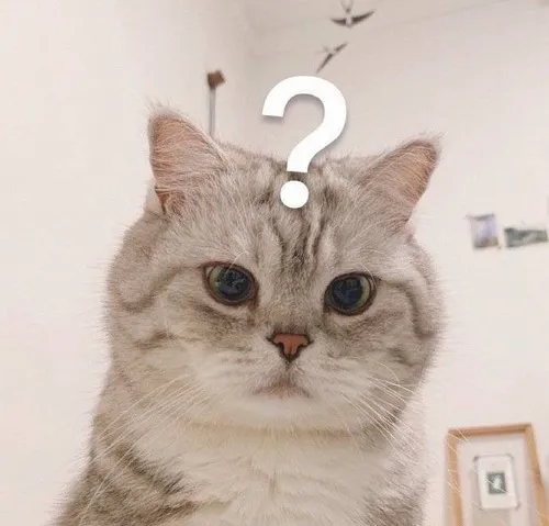 Meme hài gương mặt ngạc nhiên nhẹ mô tả không khí sai vibe khó giải