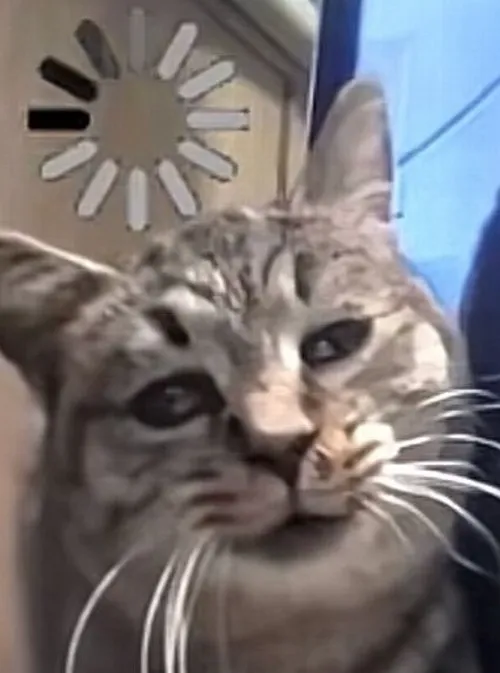 Hình meme hài ánh mắt mù mờ mô phỏng hiệu ứng chần chừ tự nhiên