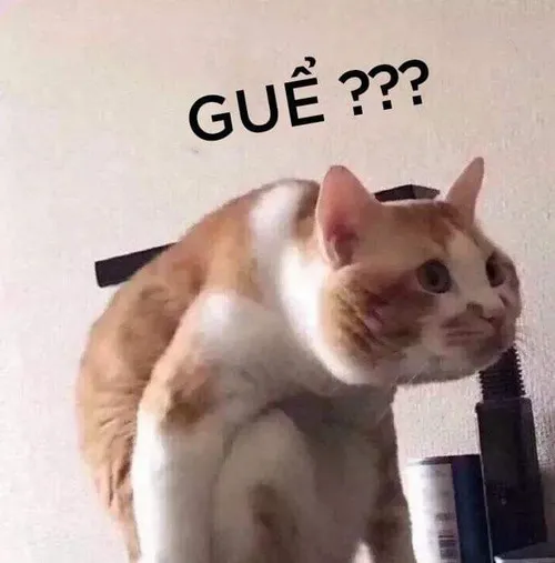 Ảnh hài gương mặt hoang mang nhẹ gợi cảm giác chậm hiểu đầy duyên