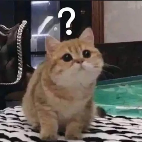 Ảnh chế ánh nhìn đang load diễn tả khoảnh khắc não căng hết công suất