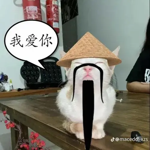 Khi một câu nói hớ tạo thành meme thiểu năng mạng cực viral