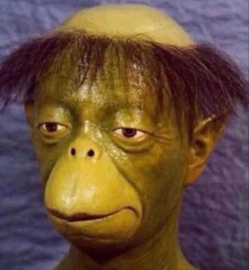 Khoảnh khắc ngơ ngác nhìn đời với biểu cảm sai logic