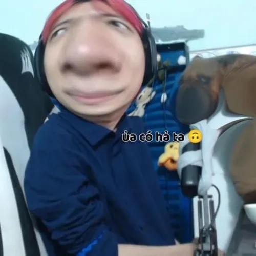 Ảnh troll cú nói hớ không lý do tạo rung chấn cười nhẹ