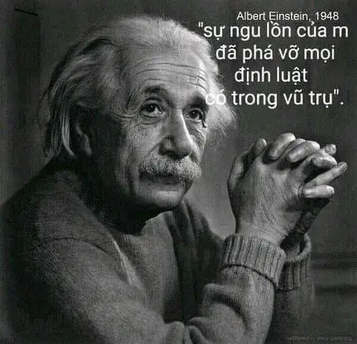 Bộ sưu tập meme lú lẫn cực giải trí cho cuộc trò chuyện