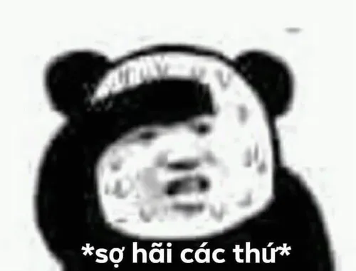 Meme chế gấu trúc đổ mồ hôi sợ hãi