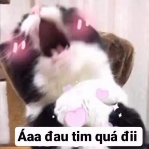 Bộ meme Việt Nam lưu giữ chất Việt qua các tiểu tiết nhỏ nhưng siêu đắt