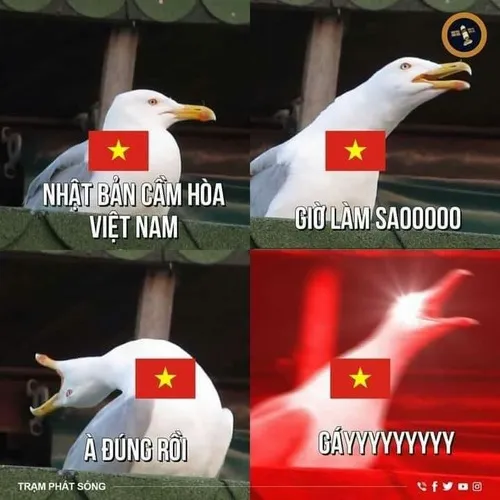 Meme Việt Nam và tiếng lóng tạo nên thứ hài rất riêng của dân mình