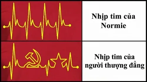 Meme hài đời sống thường nhật ghi lại câu cửa miệng cực chân thật.