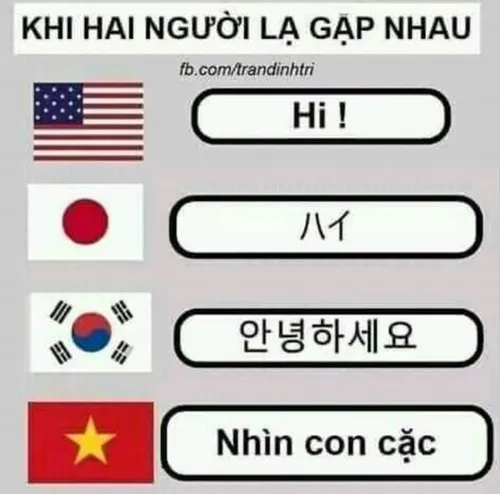 Hình meme hài văn hóa bản địa gợi lại vibe quê nhà rất thân quen.