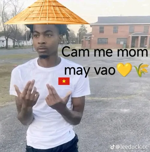 Meme Việt Nam ghi lại tình huống tréo ngoe khiến giới trẻ cười muốn xỉu