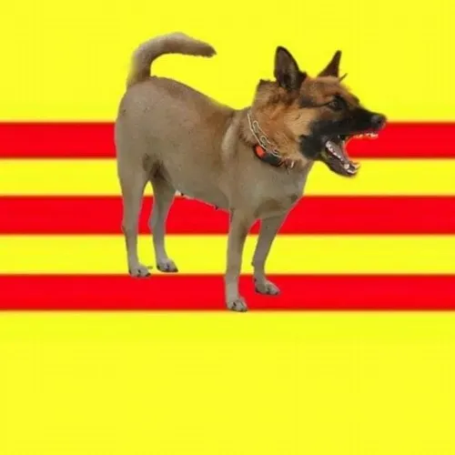 Hình meme hài lễ hội tái hiện nhịp sống náo nhiệt đậm bản sắc Việt.