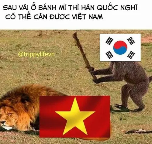 Meme chất Việt dùng lối nói lái thể hiện sự hóm hỉnh rất riêng.
