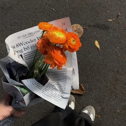 Meme nhẹ nhàng gom đủ vui hạnh phúc bình an thật êm.