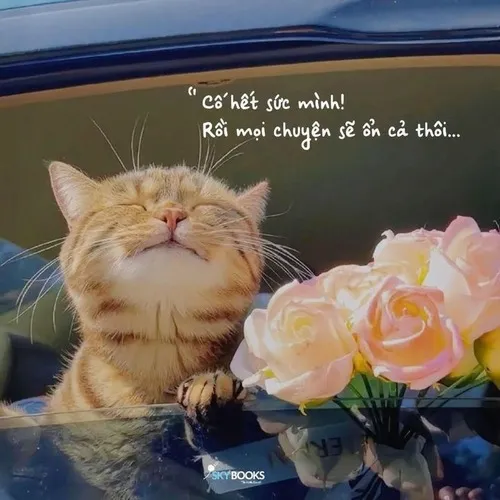 Bộ 50+ ảnh Meme Vui Vẻ yêu đời cho ngày mới tràn ngập nắng ấm tươi sáng