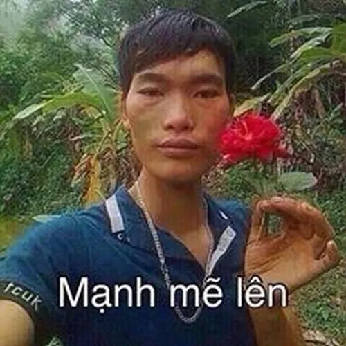 Hình meme tỏa sắc tươi khiến ai nhìn cũng bật cười.