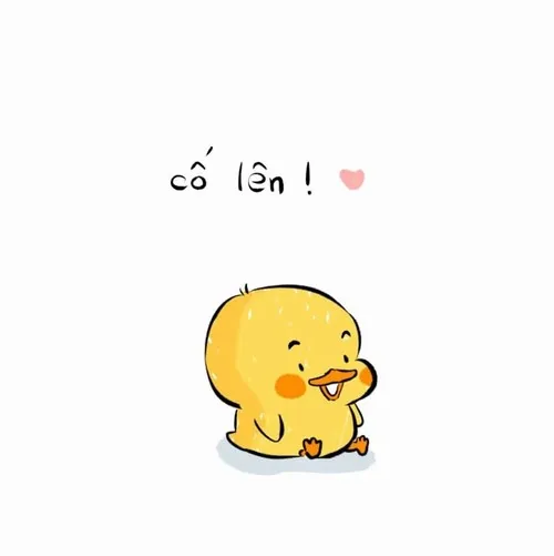 Gợi ý meme vui vẻ dùng chúc sinh nhật theo vibe dễ thương