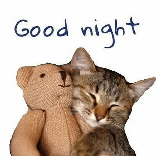 Ảnh chế vibe ngủ êm xoay quanh ánh đèn vàng