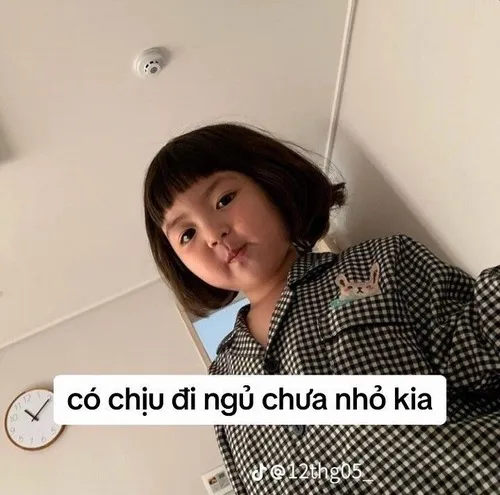 Ảnh troll mèo say giấc phác họa chăn bông họa tiết