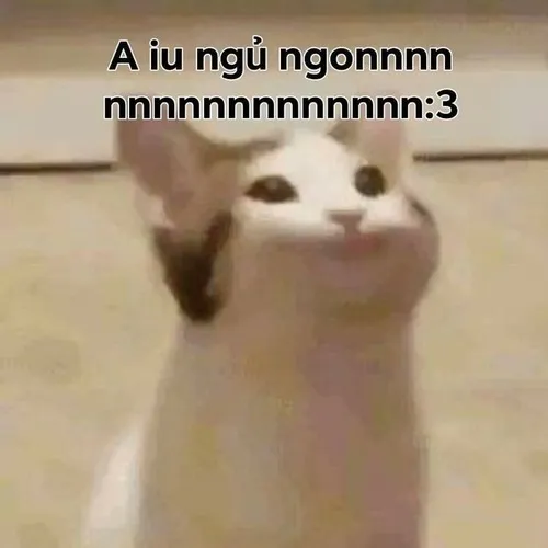 Meme hài mèo buồn ngủ biểu đạt trạng thái yên