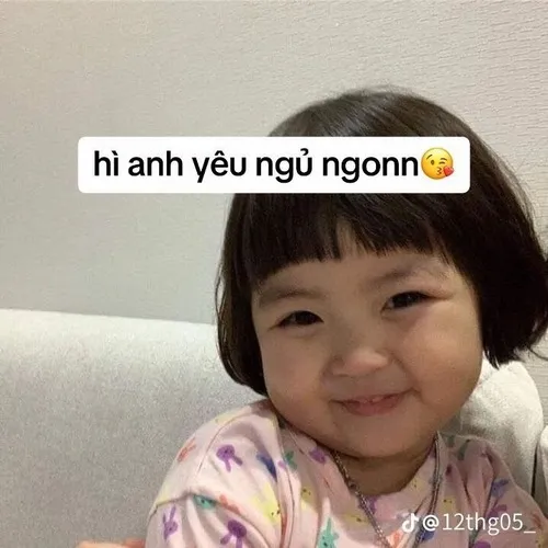 Meme troll mèo cuộn chăn mô tả lông mềm xốp